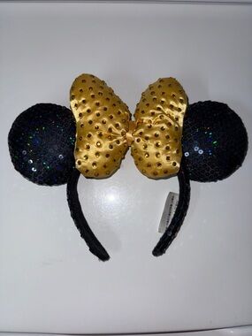 Disney park ears